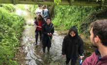 Fieldwork in the River Kym