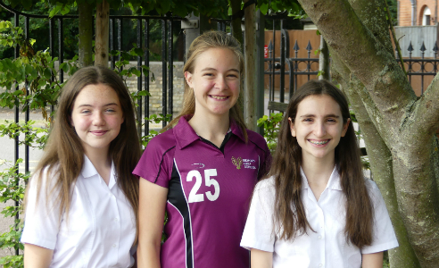 BGS stars selected for the EYB