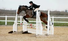 Equestrians qualify for County Champs