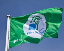 BGS Fly the Green Flag Again