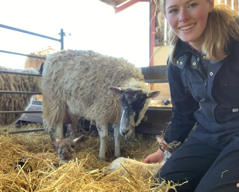 Lambing Season with Lydia