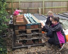 Bug Hotel Now Open!