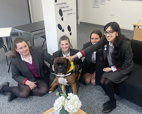 Meet Cooper the Therapy Dog!