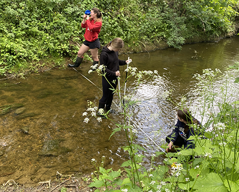 Fieldwork in the River Kym