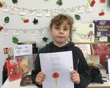 Remembrance Day Poetry