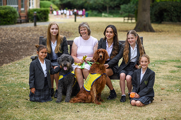 Meet Winnie the Irish Setter