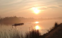 Rowing on Hazewinkel Lake